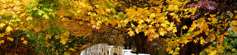 Hopping Off The Fence: Why Listing Your Home This Fall Is A Win!